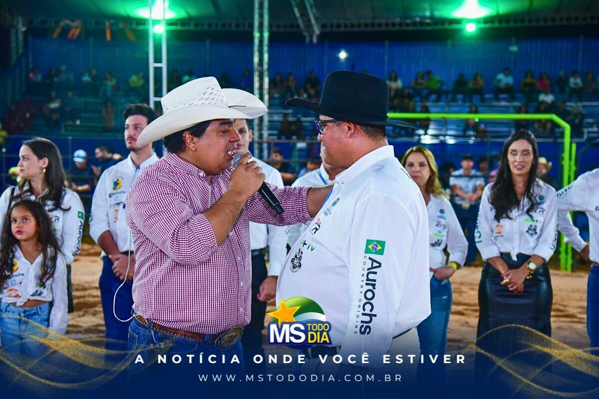Imagem da Galeria